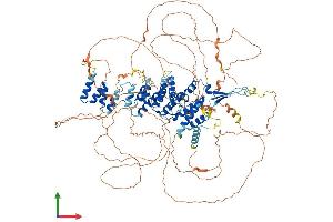 AlphaFold protein structure predicition of Human Recombinant SEC16B Protein, UniprotID Q96JE7 (SEC16B Protein (AA 1-1060) (His tag))