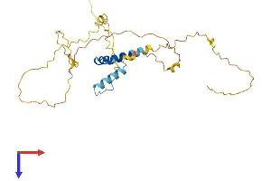 FRAT1 Protein (AA 1-274) (His tag)