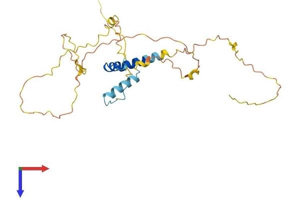 FRAT1 Protein (AA 1-274) (His tag)