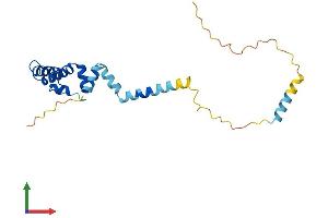 Protein Structure (PS) image for DnaJ (Hsp40) Homolog, Subfamily C, Member 5 beta (DNAJC5B) (AA 1-199) protein (His tag) (ABIN7547140)