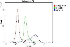 7. (CD43 Antikörper  (AA 272-400))
