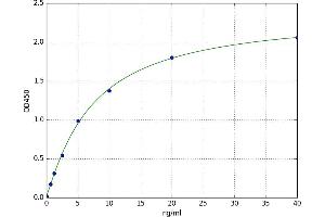 A typical standard curve