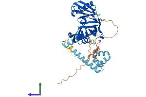 AlphaFold protein structure predicition of Human Recombinant DDI1 Protein, UniprotID Q8WTU0