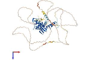 ESCO2 Protein (AA 1-592) (His tag)