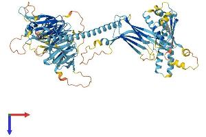 C17orf70 Protein (AA 1-879) (His tag)