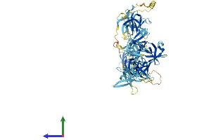 Protein Structure (PS) image for Cold Shock Domain Containing E1, RNA-Binding (CDSE1) (AA 1-798) protein (His tag) (ABIN7553592)
