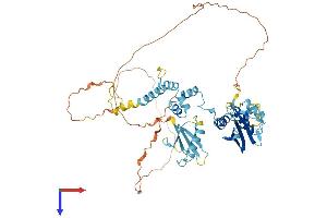 FBXO7 Protein (AA 1-522) (His tag)
