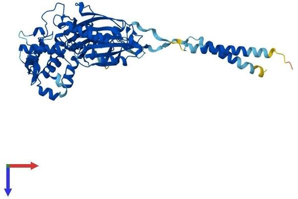ENTPD2 Protein (AA 1-495) (His tag)