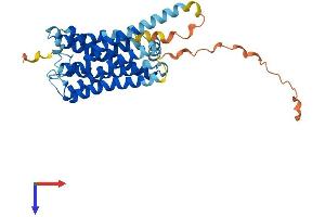 GPR157 Protein (AA 1-330) (His tag)
