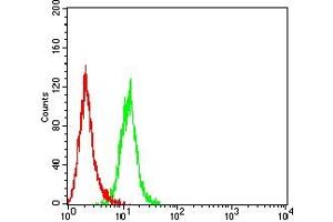 Flow cytometric analysis of Hela cells using FADD mouse mAb (green) and negative control (red). (FADD Antikörper  (AA 20-150))