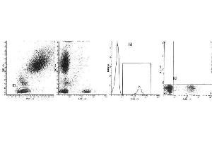 Image no. 1 for anti-CD19 Molecule (CD19) antibody (PE) (ABIN1105977) (CD19 Antikörper  (PE))