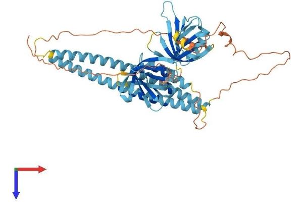 SNAP47 Protein (AA 1-464) (His tag)