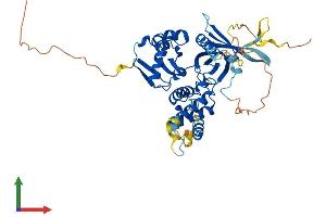 Protein Structure (PS) image for FERM Domain Containing 8 (FRMD8) (AA 1-464) protein (His tag) (ABIN7547749)