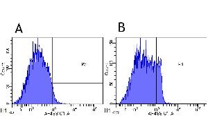 Flow-cytometry using anti-CD4 antibody MT310   Cynomolgus monkey lymphocytes were stained with an isotype control (panel A) or the rabbit-chimeric version of MT310 ( panel B) at a concentration of 1 µg/ml for 30 mins at RT. (Rekombinanter CD4 Antikörper)