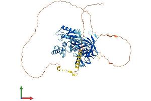Protein Structure (PS) image for G1 To S Phase Transition 2 (GSPT2) (AA 1-632) protein (His tag) (ABIN7563633)