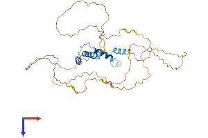 SSBP2 Protein (AA 1-361) (His tag)