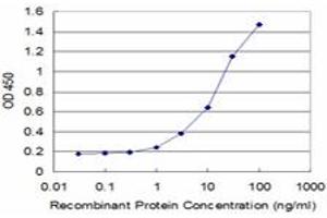 Detection limit for recombinant GST tagged CRLF1 is approximately 1ng/ml as a capture antibody. (CRLF1 Antikörper  (AA 135-230))