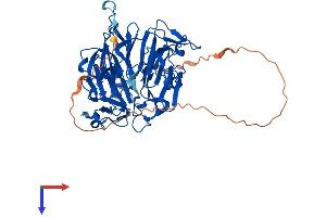 RCC2 Protein (AA 1-522) (His tag)