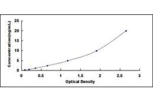 Typical standard curve (SLC6A3 ELISA Kit)