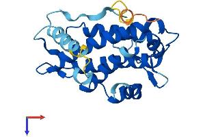MOBKL2C Protein (AA 1-216) (His tag)