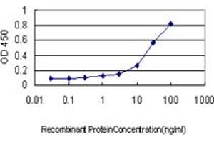 Detection limit for recombinant GST tagged CSE1L is approximately 0. (Exportin 2 Antikörper  (AA 872-971))