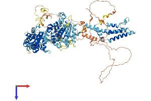 ATAD2 Protein (AA 1-1040) (His tag)