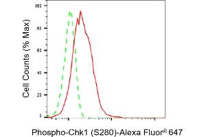 Flow cytometric analysis of Phospho-Chk1 (S280) expression in HeLa cells using Phospho-Chk1 (S280) antibody (ABIN7798037), 1:2,000). (Rekombinanter CHEK1 Antikörper  (pSer280))