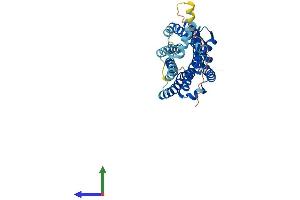 Protein Structure (PS) image for Chemokine (C-C Motif) Receptor 3 (CCR3) (AA 1-359) protein (His tag) (ABIN7563391)