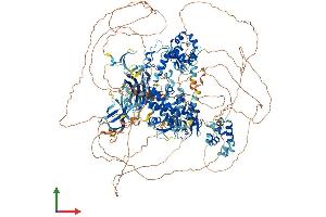 Protein Structure (PS) image for HECT, C2 and WW Domain Containing E3 Ubiquitin Protein Ligase 2 (HECW2) (AA 1-1578) protein (His tag) (ABIN7564048)