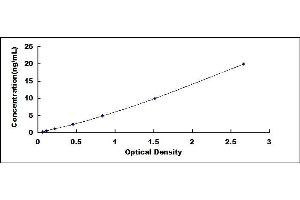 Typical standard curve (Neuregulin 4 ELISA Kit)