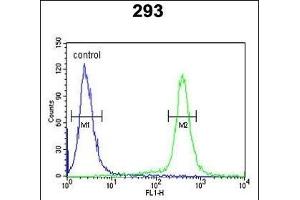 ESPN Antibody (N-term) (ABIN652258 and ABIN2841081) flow cytometric analysis of 293 cells (right histogram) compared to a negative control cell (left histogram). (Espin Antikörper  (N-Term))