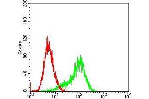 Flow Cytometry (FACS) image for anti-Ribosomal Protein S6 Kinase, 90kDa, Polypeptide 2 (RPS6KA2) (AA 415-734) antibody (ABIN5542368)