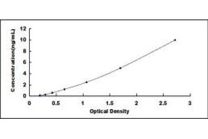 Typical standard curve (CENPF ELISA Kit)