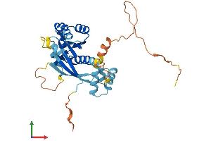 AlphaFold protein structure predicition of Human Recombinant RAB40AL Protein, UniprotID P0C0E4