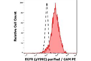 Separation of EGF stimulated A431 cell suspension stained using anti-human EGFR (pY992) (EM-12) purified antibody (concentration in sample 1 μg/mL, GAM PE, red-filled) from EGF stimulated A431 cell suspension unstained by primary antibody (GAM PE, black-dashed) in flow cytometry analysis (intracellular staining). (EGFR Antikörper  (Tyr992))