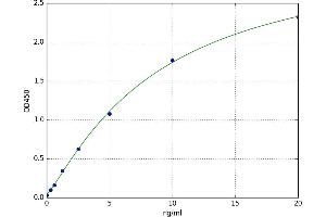 Phosphatidylglycerophosphate Synthase 1 (PGS1) ELISA Kit