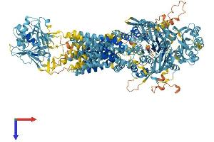 ABCA9 Protein (AA 1-1623) (His tag)