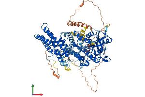 Protein Structure (PS) image for Lipase, Hormone-Sensitive (LIPE) (AA 1-759) protein (His tag) (ABIN7556166)