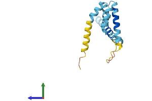 Protein Structure (PS) image for Translocase of Outer Mitochondrial Membrane 20 Like (TOMM20L) (AA 1-152) protein (His tag) (ABIN7560999)