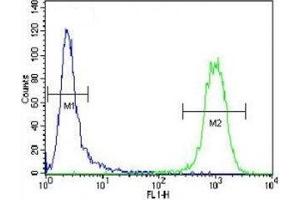 ATF3 antibody flow cytometric analysis of CEM cells (right histogram) compared to a negative control (left histogram).