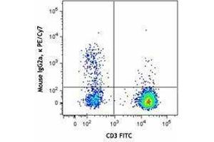 Flow Cytometry (FACS) image for anti-Chemokine (C-C Motif) Receptor 7 (CCR7) antibody (PE-Cy7) (ABIN2659156)