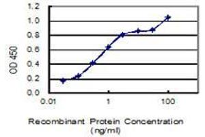 ELISA image for anti-Nuclear Receptor Binding Protein 1 (NRBP1) (AA 436-535) antibody (ABIN565445)