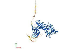 AlphaFold protein structure predicition of Human Recombinant RBPJ Protein, UniprotID Q06330 (RBPJ Protein (AA 1-500) (His tag))