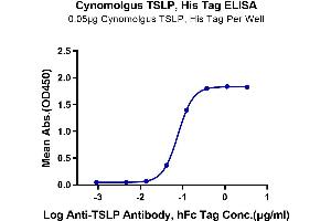 ELISA image for Thymic Stromal Lymphopoietin (TSLP) (AA 29-159) protein (His tag) (ABIN7275799)