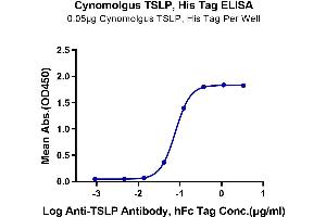 Immobilized Cynomolgus TSLP, His Tag at 0. (Thymic Stromal Lymphopoietin Protein (TSLP) (AA 29-159) (His tag))
