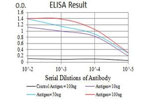 Black line: Control Antigen (100 ng),Purple line: Antigen (10 ng), Blue line: Antigen (50 ng), Red line:Antigen (100 ng) (GRM2 Antikörper  (AA 414-558))