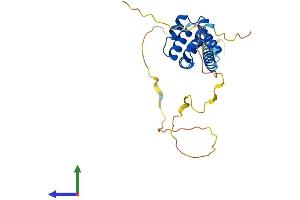 AlphaFold protein structure predicition of Human Recombinant BCL10 Protein, UniprotID O95999 (BCL10 Protein (AA 1-233) (His tag))