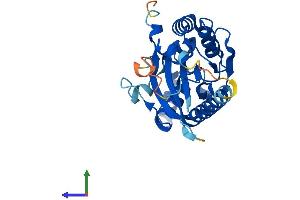 Protein Structure (PS) image for TP53 induced glycolysis regulatory phosphatase (TIGAR) (AA 1-270) protein (His tag) (ABIN7555807)