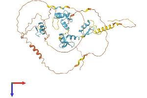 MAZ Protein (AA 1-477) (His tag)