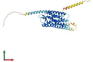 Protein Structure (PS) image for Neuropeptide S Receptor 1 (NPSR1) (AA 1-371) protein (His tag) (ABIN7559052)